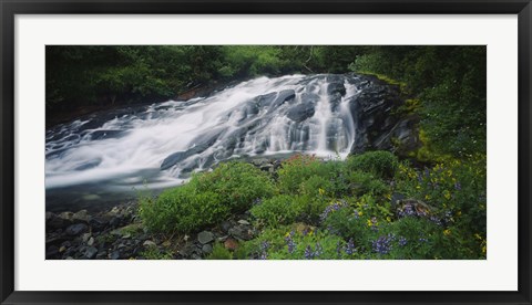 Framed Waterfall in the forest, Mt Rainier National Park, Washington State, USA Print