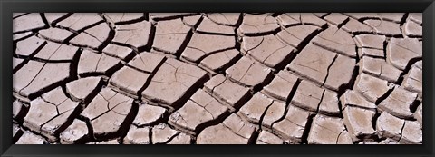 Framed Close-up of cracked mud, South Dakota, USA Print