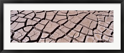 Framed Close-up of cracked mud, South Dakota, USA Print