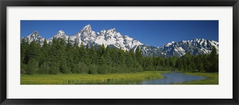 Framed Trees along a river, Near Schwabachers Landing, Grand Teton National Park, Wyoming Print