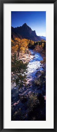 Framed High angle view of a river flowing through a forest, Virgin River, Zion National Park, Utah, USA Print