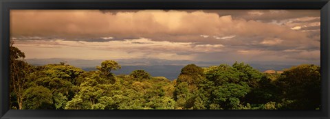 Framed Monteverde Puntarenas Province Costa Rica Print