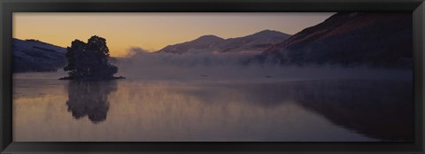 Framed Silhouette of a tree in a lake, Loch Tay, Tayside region, Scotland Print