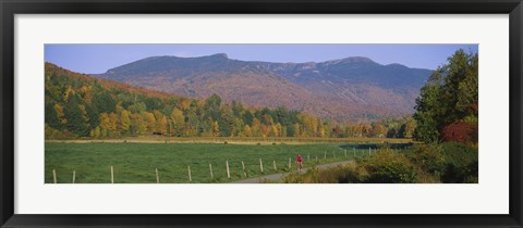 Framed Woman cycling on a road, Stowe, Vermont, USA Print