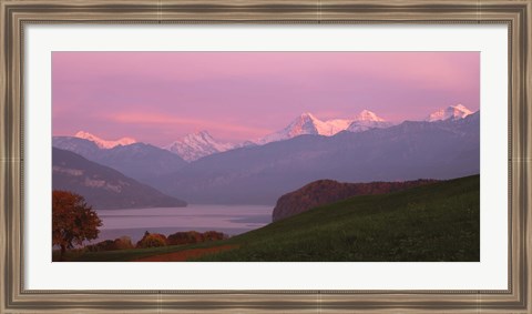 Framed Switzerland, Bernese Alps, Lake Thun Print