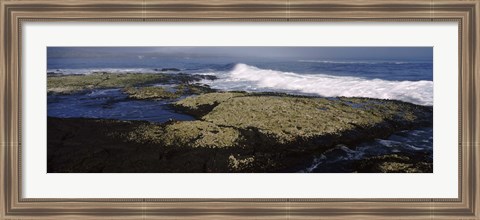 Framed Rock formations at the coast, Fernandina Island, Galapagos Islands, Ecuador Print