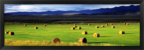 Framed Haystacks, Field, Jackson County, Colorado, USA Print