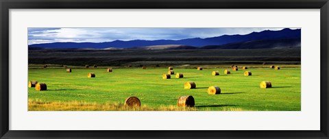 Framed Haystacks, Field, Jackson County, Colorado, USA Print