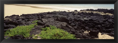 Framed Lava rocks at a coast, Floreana Island, Galapagos Islands, Ecuador Print