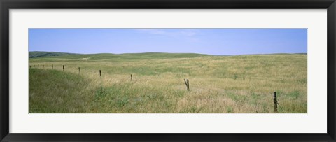 Framed Grass on a field, Cherry County, Nebraska, USA Print