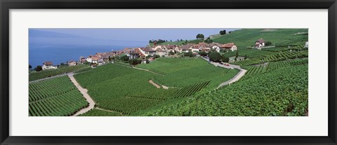 Framed Vineyards overlooking Lake Geneva, Switzerland Print