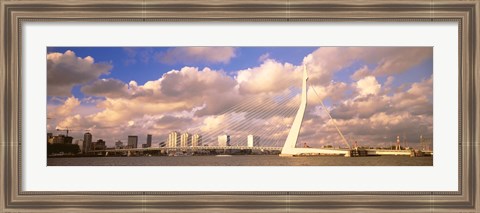 Framed Netherlands, Holland, Rotterdam, Erasmus Bridge Print