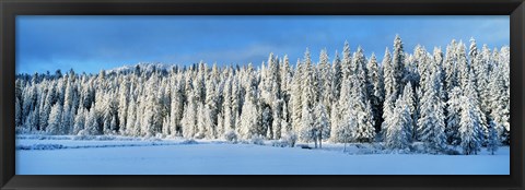 Framed Winter Wawona Meadow Yosemite National Park CA USA Print