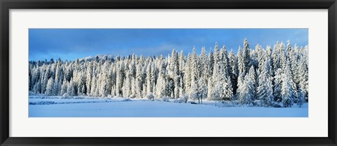 Framed Winter Wawona Meadow Yosemite National Park CA USA Print