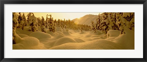 Framed Sunset, Turnagain Pass, Alaska, USA Print