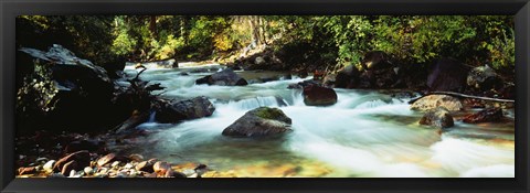 Framed Mountain Stream CO USA Print