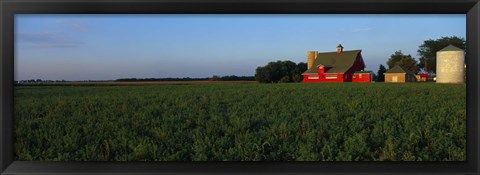 Framed Farm Fields Stelle IL USA Print