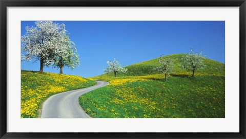 Framed Winding Road Canton Switzerland Print