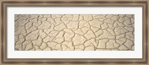 Framed Dried Mud Death Valley CA USA Print