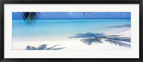 Framed Palm shadows, Laguna Maldives Print