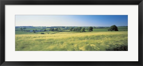 Framed Field Near Barnstaple, North Devon, England, United Kingdom Print