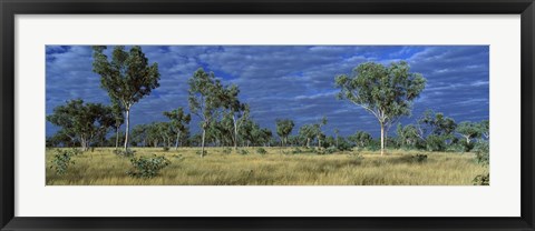 Framed Savannah Bungle Bungle Australia Print