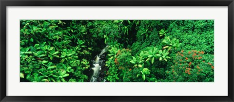 Framed Hamakua Coast, Hawaii, Hawaii, USA Print