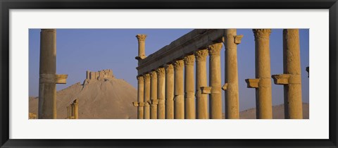 Framed Low angle view of Great Colonnade, Palmyra, Syria Print