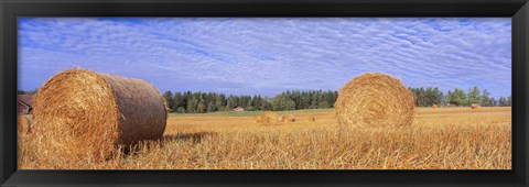 Framed Straw Rolls, Sweden Print