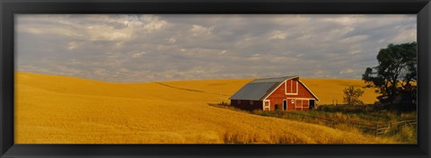 Framed Barn in a wheat field, Palouse, Washington State, USA Print