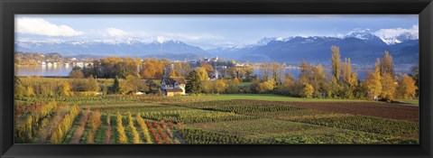 Framed Farm, Rapperswil, Zurich, Switzerland Print