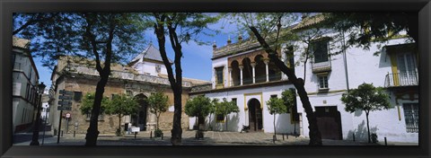 Framed Trees in front of buildings, Convento San Leandro, Plaza Pilatos, Seville, Spain Print