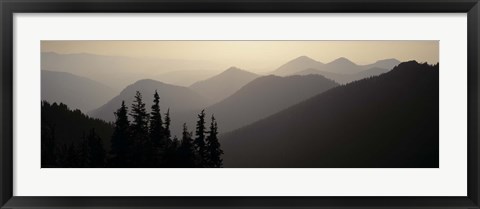 Framed Mount Rainier National Park WA USA Print