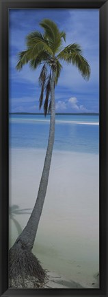 Framed Palm tree on the beach, One Foot Island, Aitutaki, Cook Islands Print