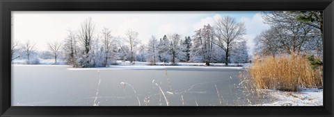 Framed Snow covered trees near a lake, Lake Schubelweiher Kusnacht, Zurich, Switzerland Print