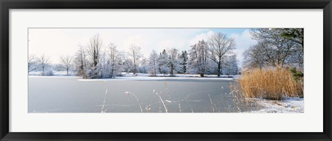 Framed Snow covered trees near a lake, Lake Schubelweiher Kusnacht, Zurich, Switzerland Print