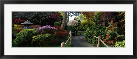 Framed Japanese Tea Garden, San Francisco, California, USA Print