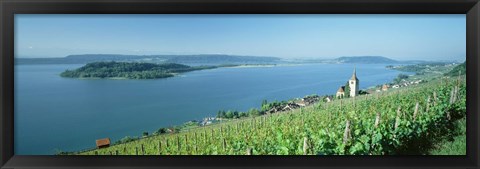 Framed Vineyard near a village, Lake Biel, Ligerz, Canton of Bern, Switzerland Print