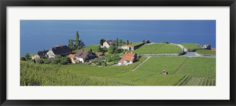 Framed Aerial View Of Vineyards By A Lake, Lake Geneva, Vaud, Switzerland Print