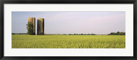 Framed USA, Arkansas, View of grain silos in a field Print