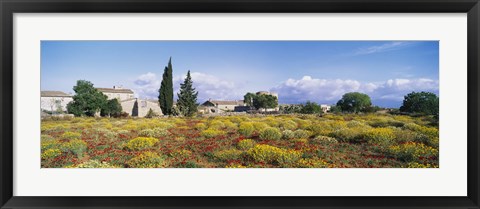 Framed Buildings in a field, Majorca, Spain Print