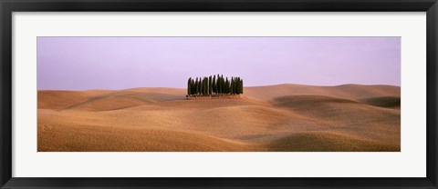 Framed Trees on a rolling landscape, Tuscany, Italy Print