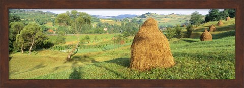 Framed Farm, Transylvania, Romania Print