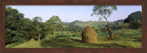 Framed Haystack at the hillside, Transylvania, Romania Print