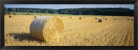 Framed Bales of Hay Southern Germany Print