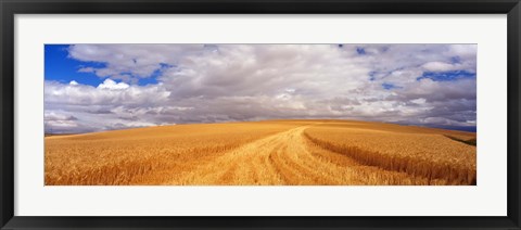 Framed Wheat Field, Washington State, USA Print