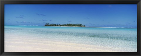 Framed Maina, Cook Islands Print