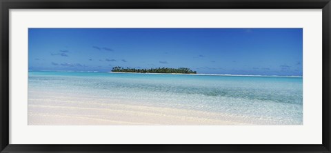 Framed Maina, Cook Islands Print