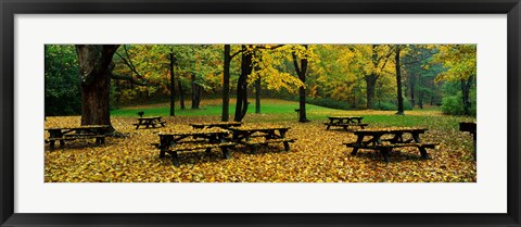 Framed Robert Treman State Park, New York State, USA Print