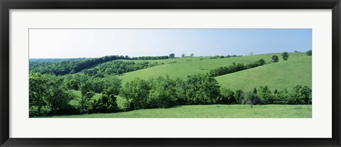 Framed Horse Farm, Kentucky, USA Print